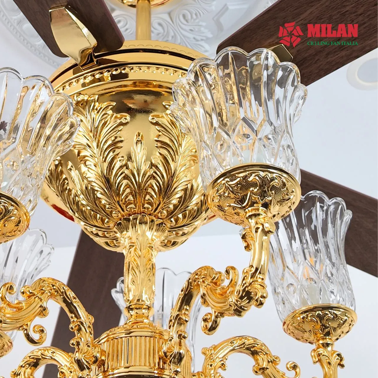 Không gian lắp đặt quạt trần có đèn 5 cánh mạ vàng FY968